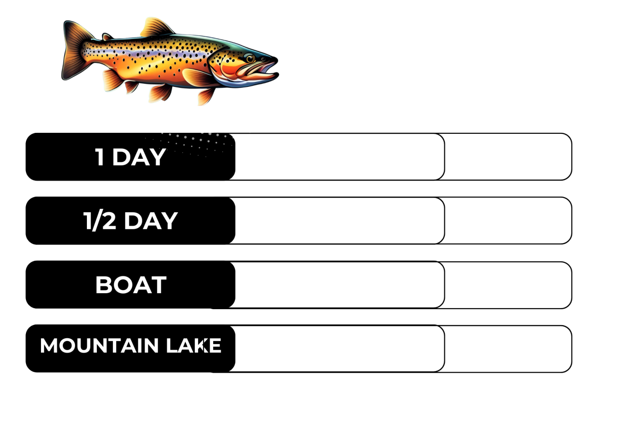 Colorful trout with options for activities and fishing duration in a mountain lake.