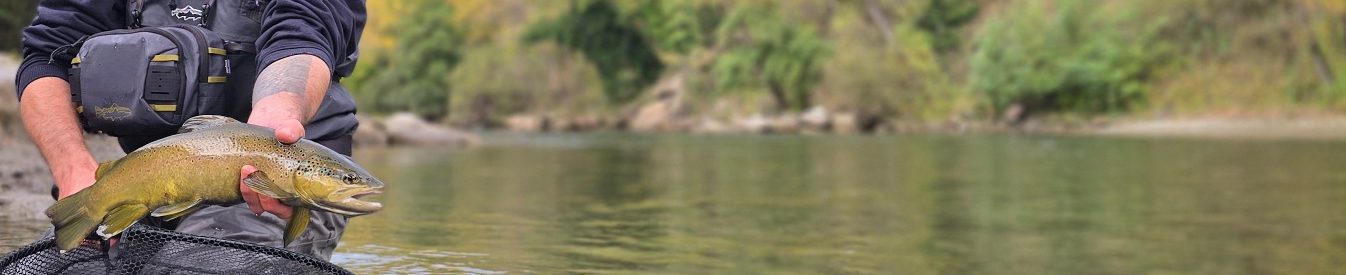 Two people fishing in a river, surrounded by trees and nature. One points forward.